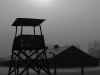 Auschwitz