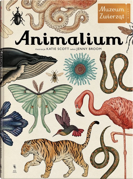 animalium okładka