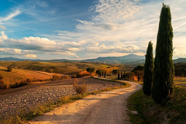 About War and Oblivion