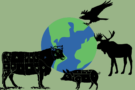 Grafika przedstawia planetę Ziemię oraz sylwetki czterech zwierząt - krowy, świni, łosia i orła - rozmieszczonych wokół Ziemi.
