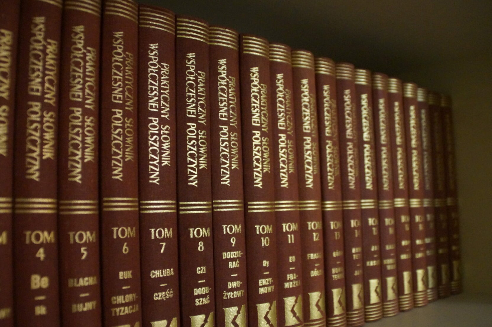 [Prognoza wędrowna] Polska, Turcja, Izrael – jak język staje się narzędziem politycznym?