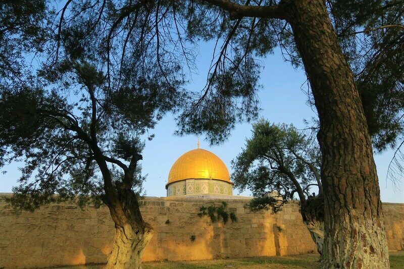 [Prognoza wędrowna] Palestyna jest dalej niż kiedykolwiek od niepodległości
