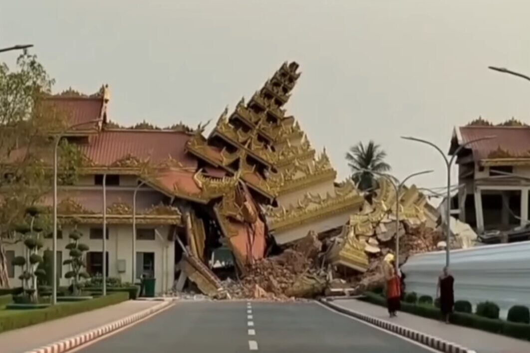 Birmański czarny łabędź