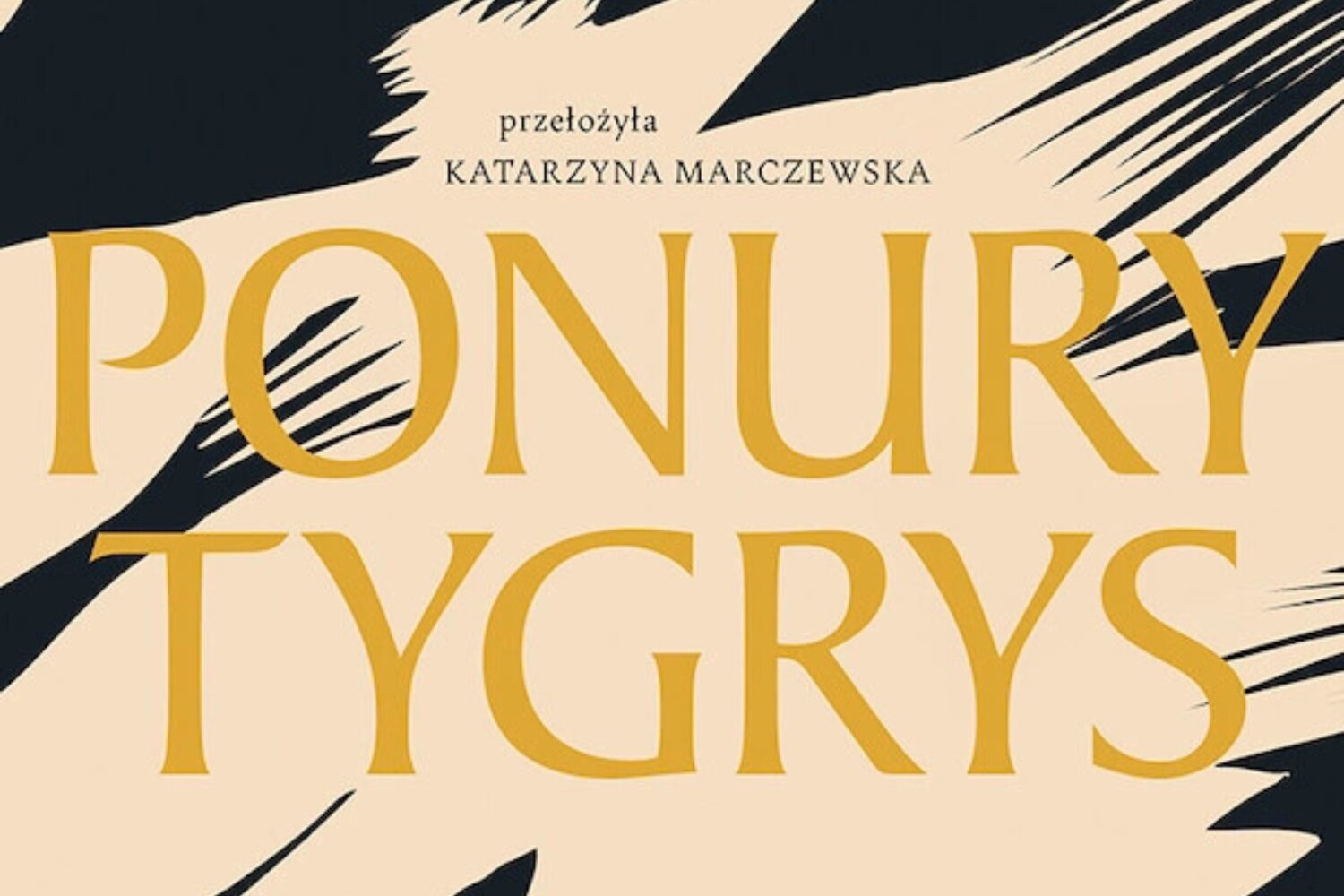 Tamto miejsce. O książce „Ponury tygrys” Neige Sinno