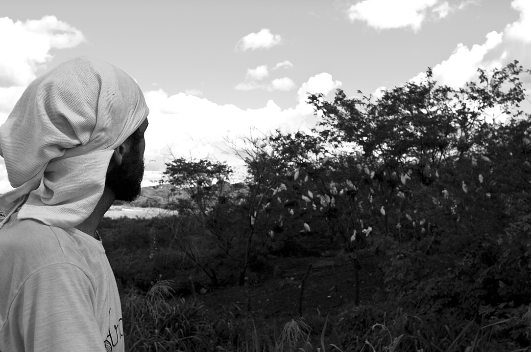 Rewolucjoniści w tropikach. Dziedzictwo brazylijskiego nurtu cinema novo