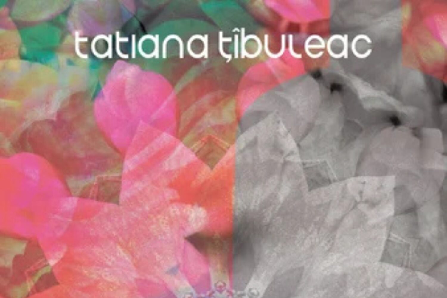 Dziedziczenie traum. Sylwia Góra rozmawia z Tatianą Țîbuleac [WYWIAD]