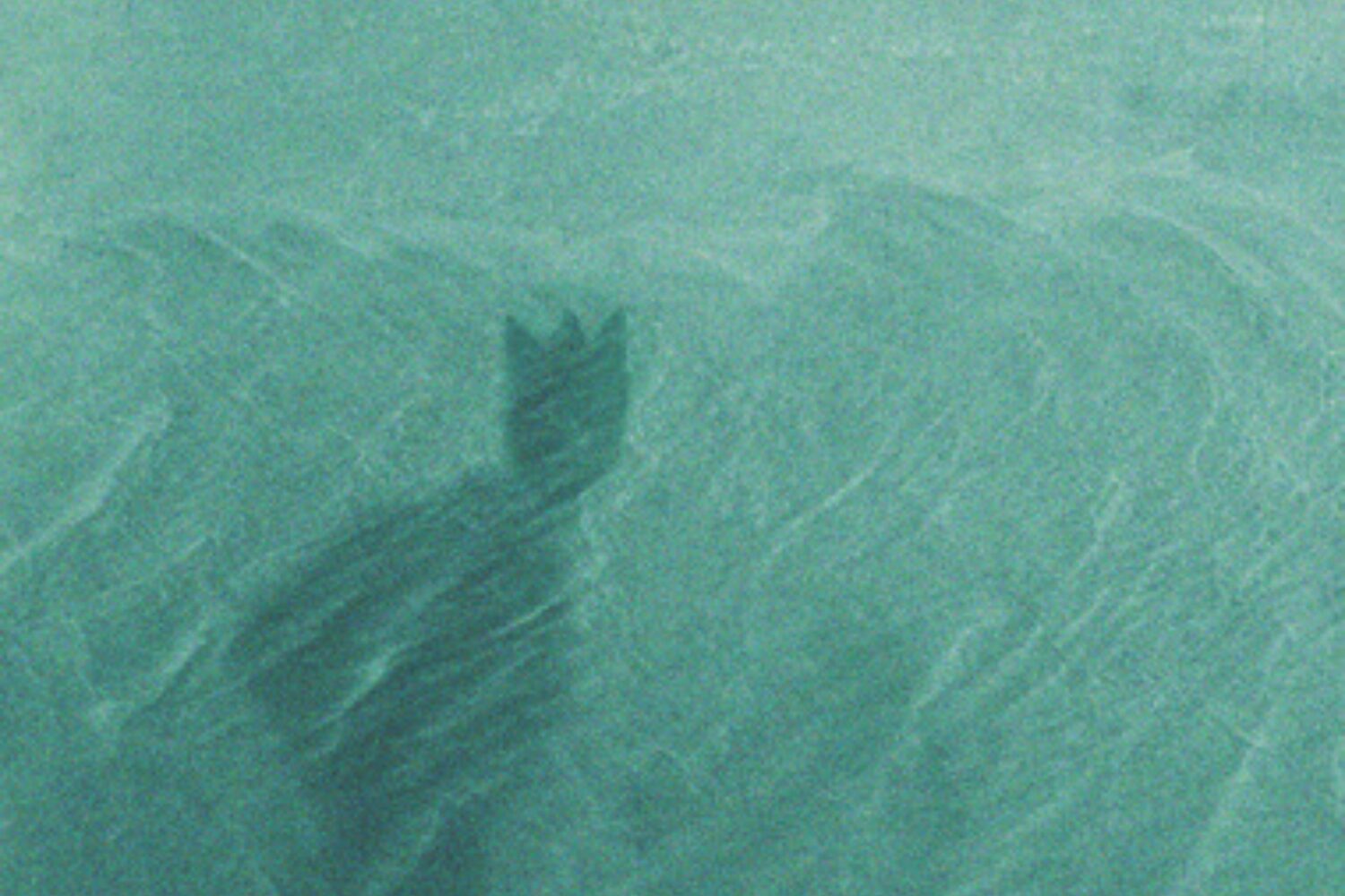 «Гдыню» берёт король Вармії. О книге Йоанны Виленговской «Король Вармії и Сатурн»