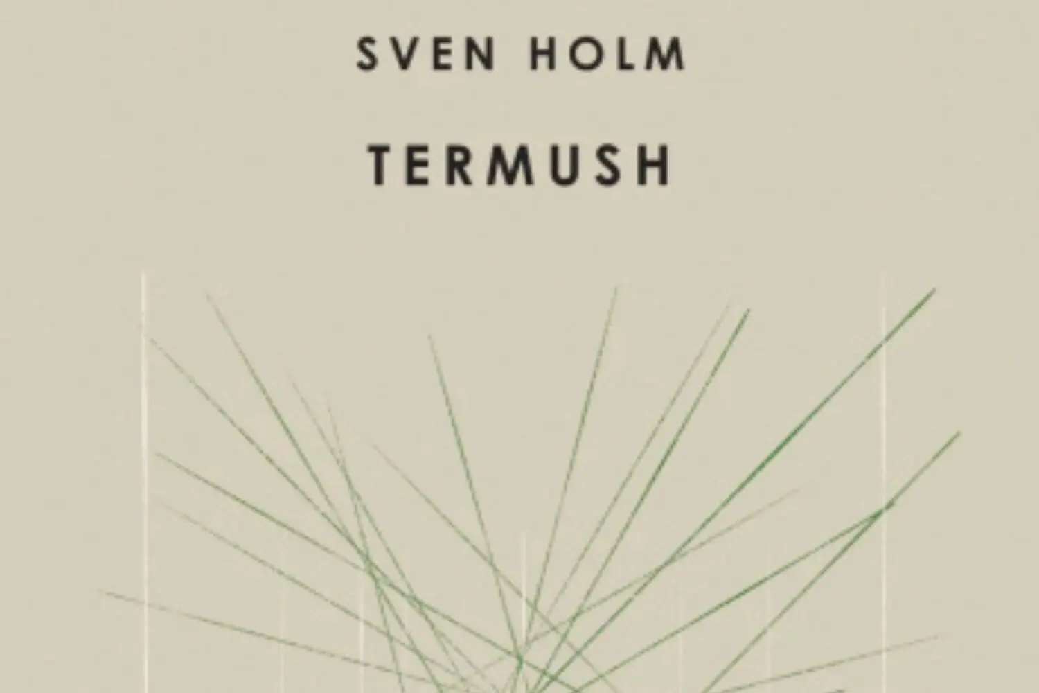 Termush, czyli ludzka opowieść o państwie. O książce „Termush” Svena Holma