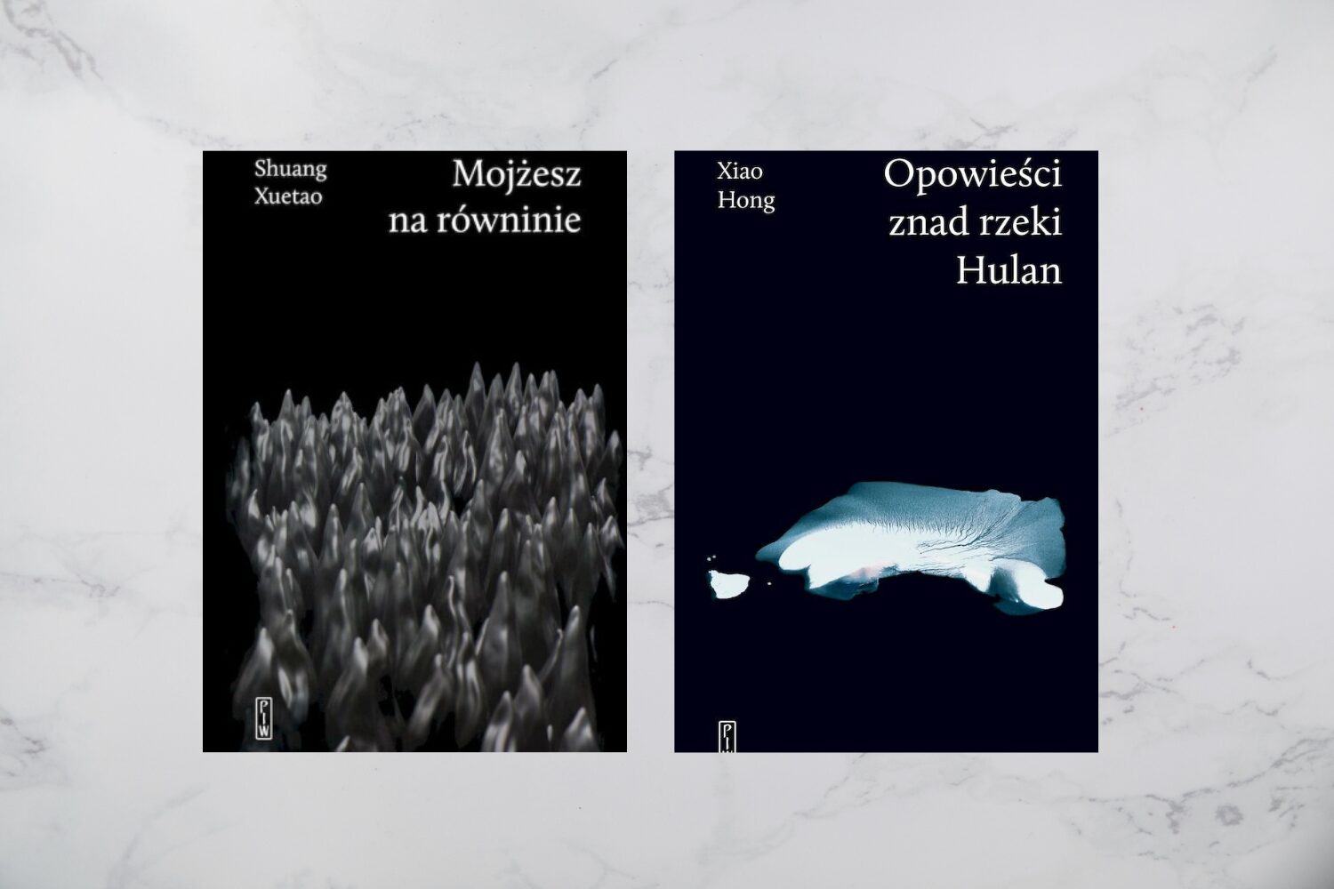 Nie ma jednego języka chińskiego. O literaturze chińskiej z Magdaleną Stoszek-Deng rozmawia Krzysztof Katkowski