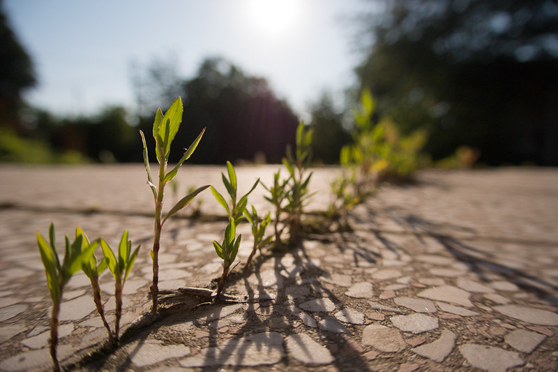 Pięć znaków, które dają nadzieję dla świata. Nie wszystko stracone