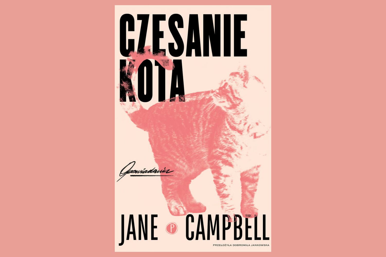 Nowa tożsamość: pisarka. Sylwia Góra rozmawia z Jane Campbell [WYWIAD]