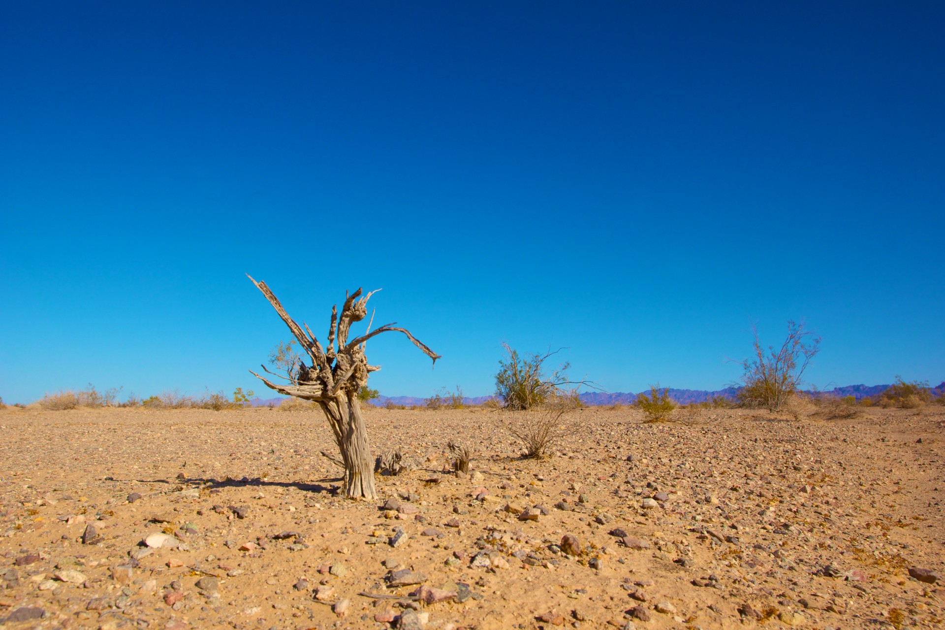Granice klimatycznego wyparcia
