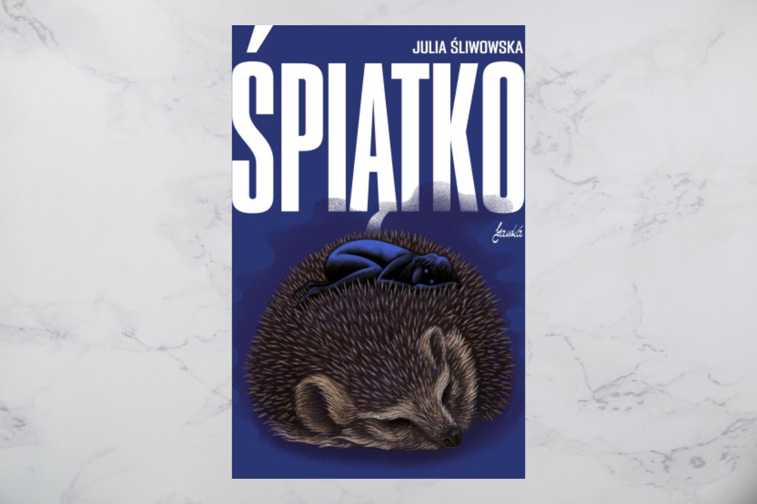 Dobranoc, już czas na pobudkę. Recenzja „Śpiątka” Julii Śliwowskiej [Debiuty i po-debiuty]
