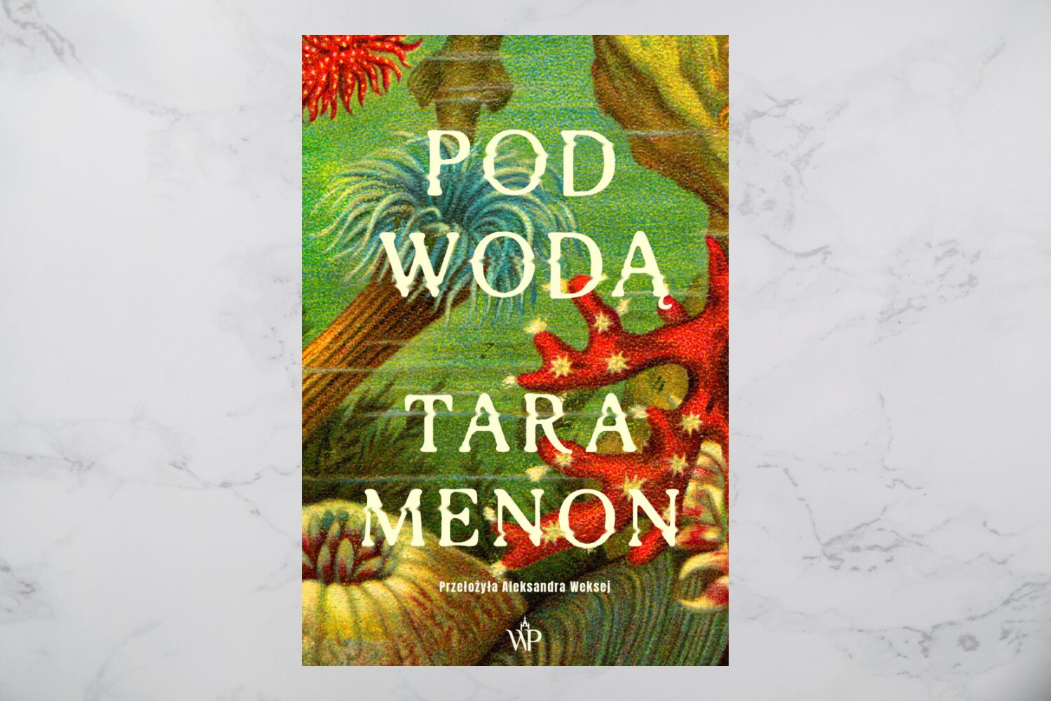Żal po stracie. Sylwia Góra rozmawia z Tarą Menon [WYWIAD]