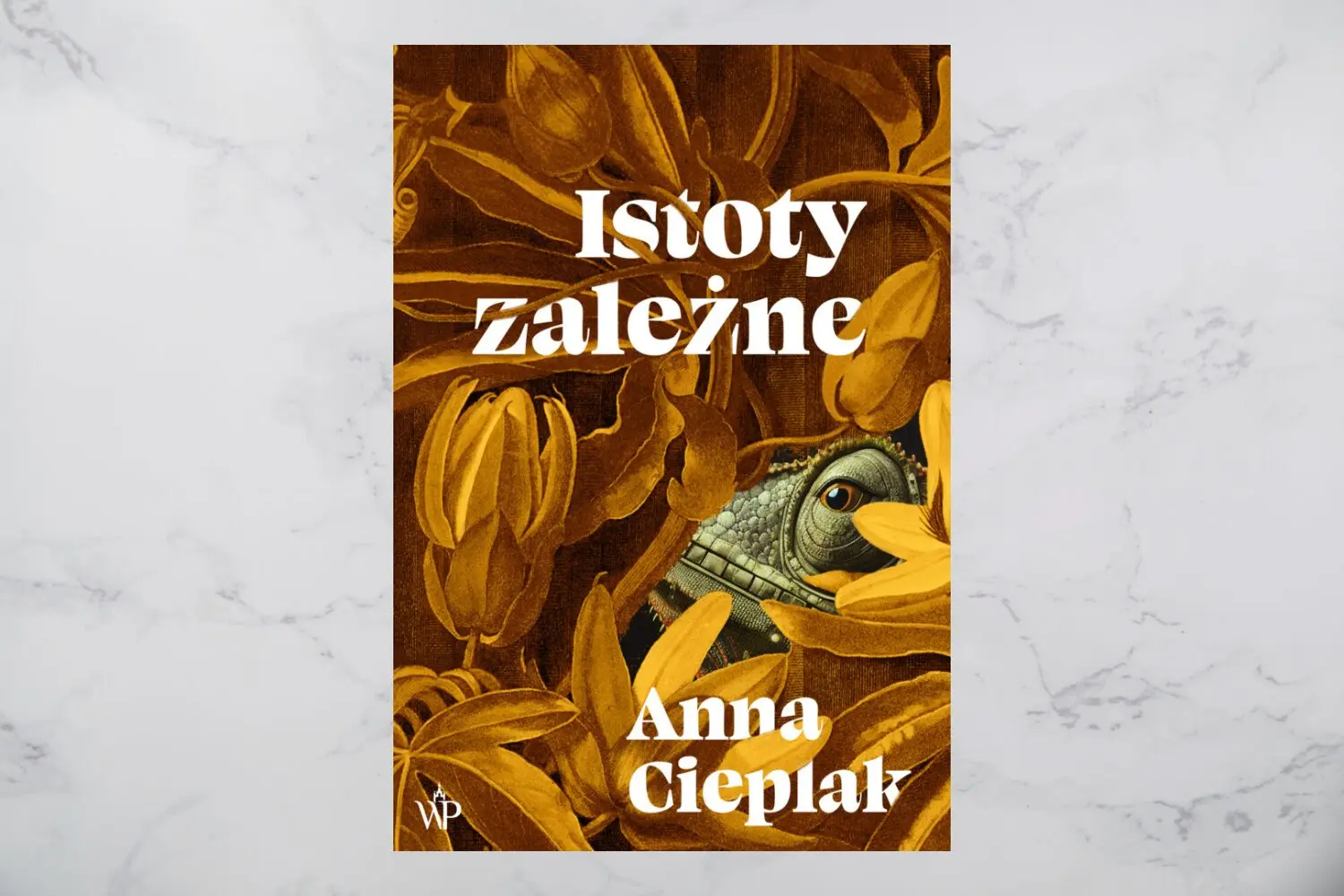 Gotowość na niepewność. Sylwia Góra rozmawia z Anną Cieplak [WYWIAD]