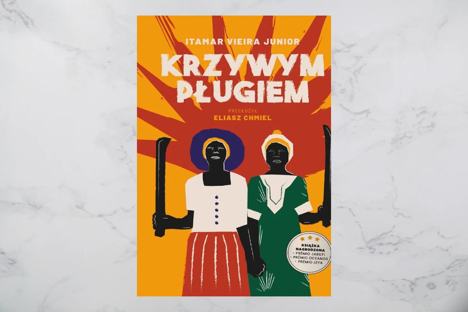 Brazylijskie dziedzictwo niewolnictwa. Sylwia Góra rozmawia z Itamarem Vieirą Juniorem [WYWIAD]